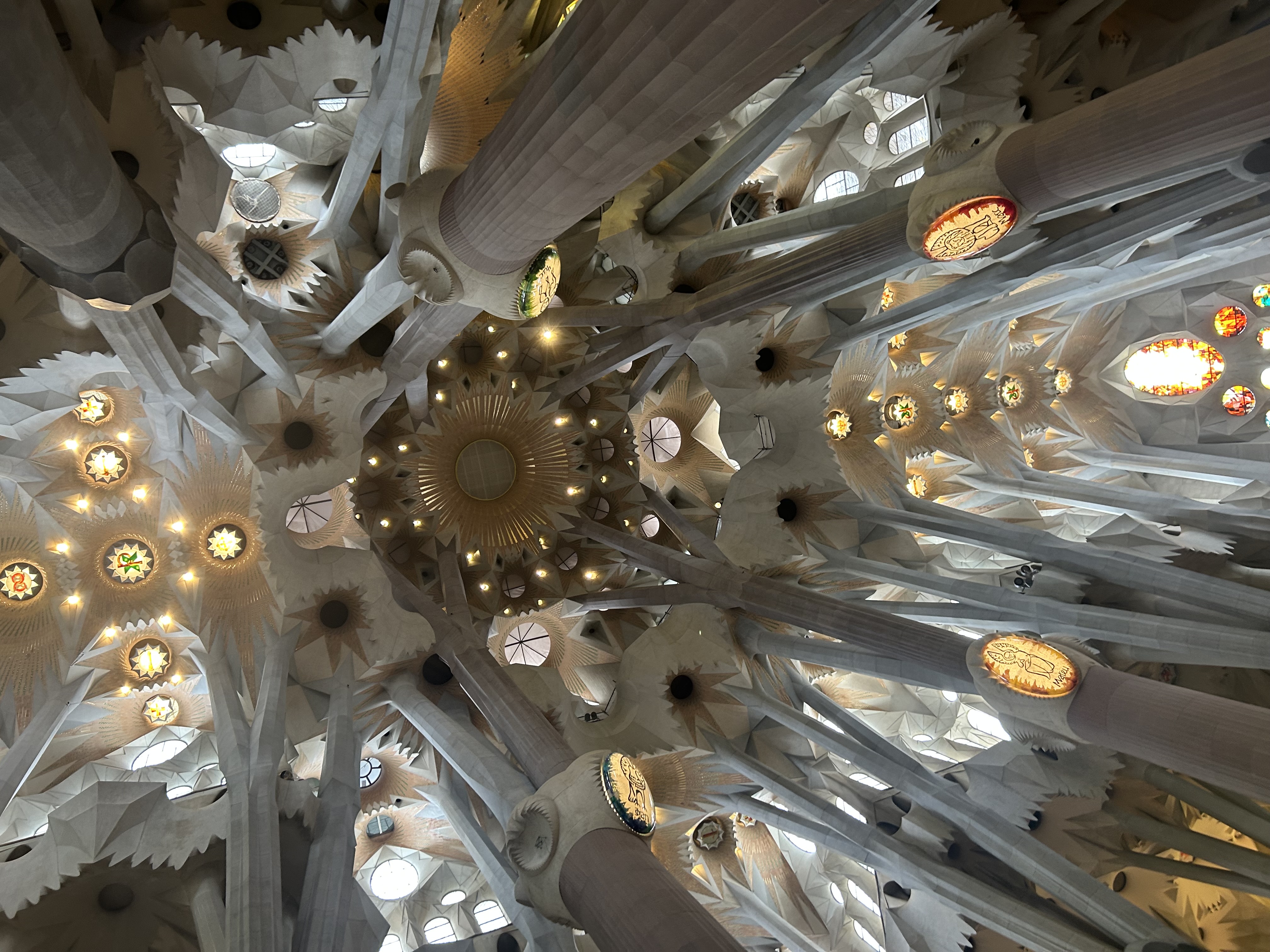 the ceiling of the Sagrada Família in Barcelona